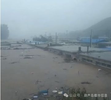 辽宁暴雨最新动态，灾害应对与影响分析